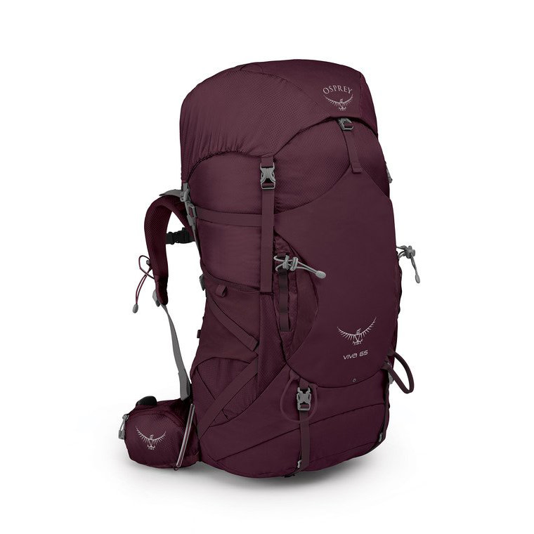 osprey packs women's viva 65 backpack